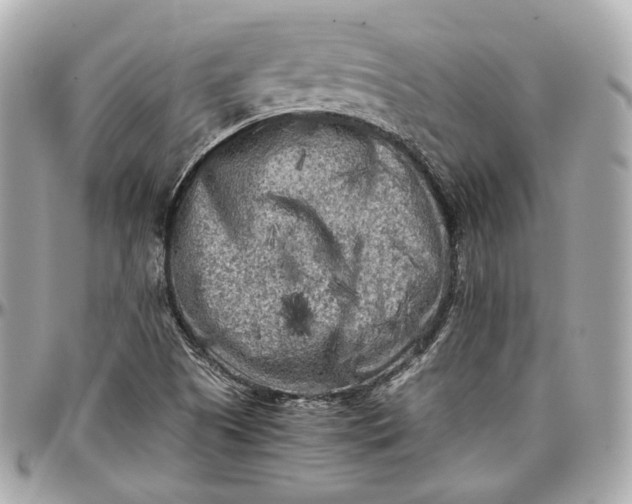 X0000096981505200802221422