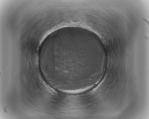 X0000096981506200802221422