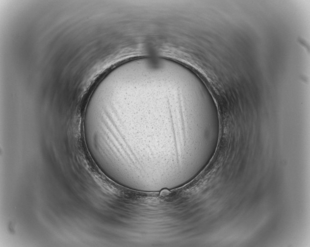 X0000096981507200802221422