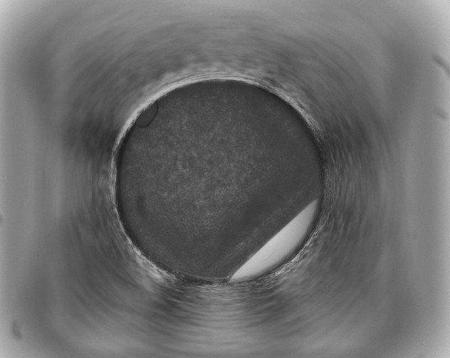 X0000096981508200802221422