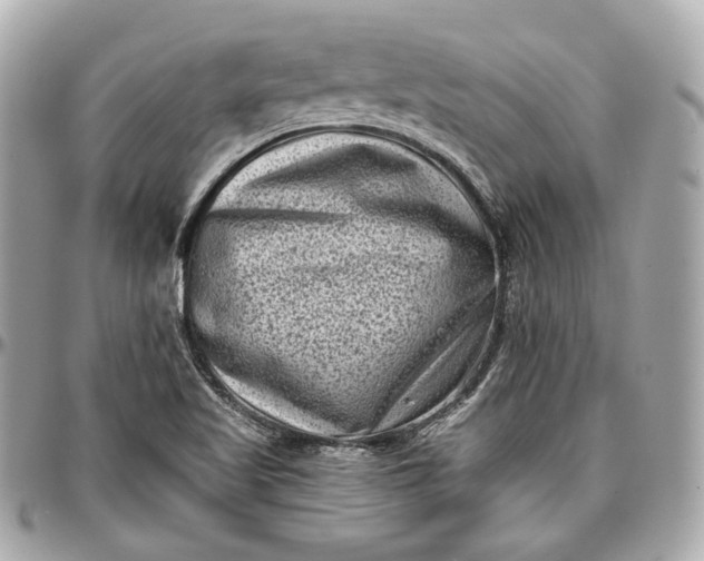 X0000096981509200802221422