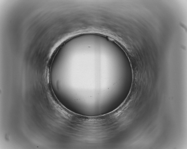 X0000096981510200802221422