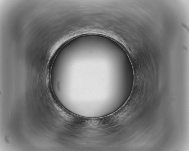 X0000096981511200802221422