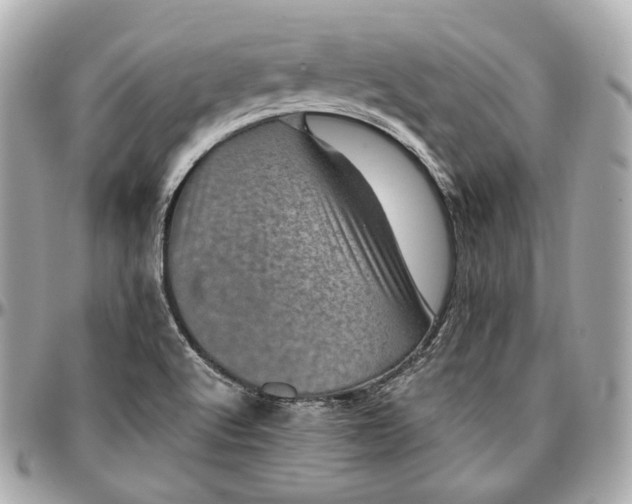 X0000096981512200802221422