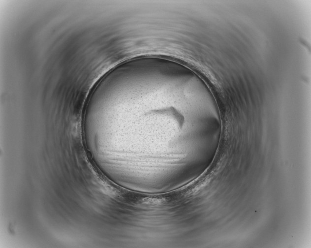 X0000096981513200802221422