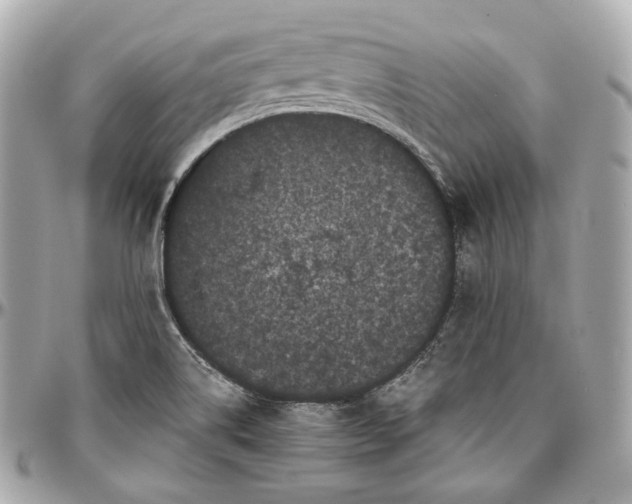 X0000096981514200802221422