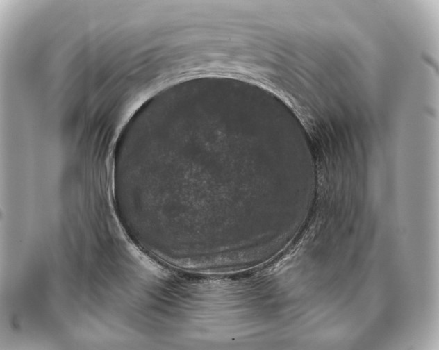 X0000096981515200802221422