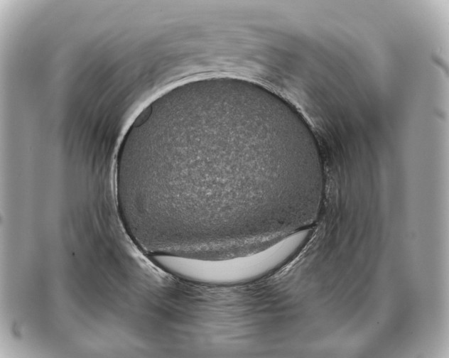 X0000096981516200802221422