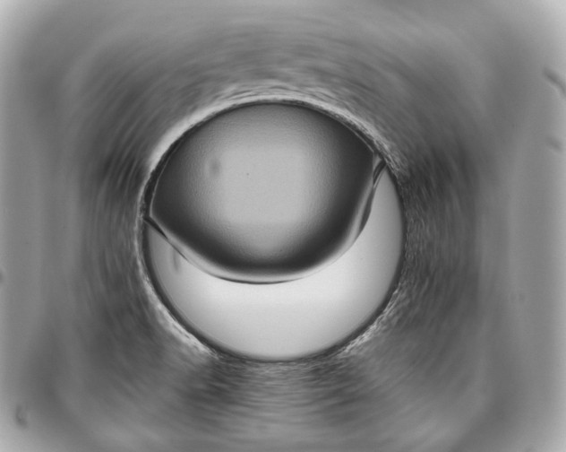 X0000096981518200802221422