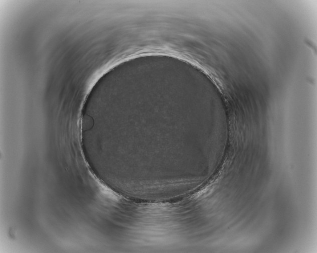 X0000096981519200802221422