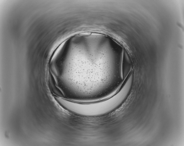 X0000096981520200802221422