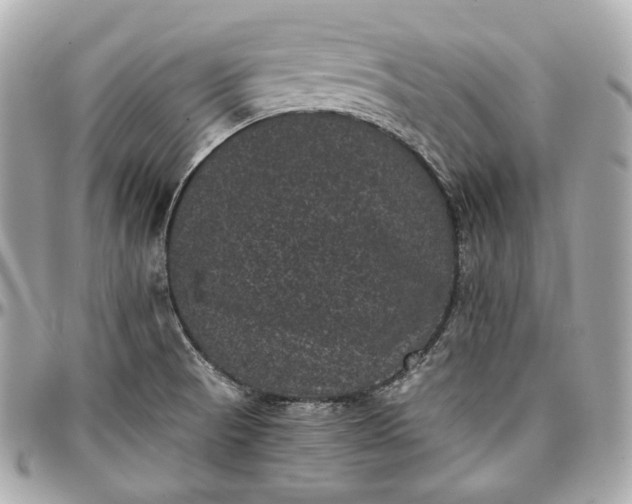 X0000096981521200802221422