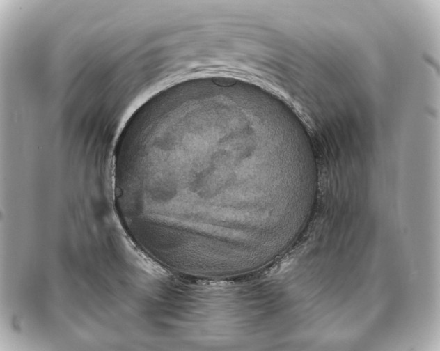 X0000096981522200802221422