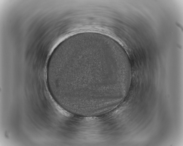 X0000096981523200802221422