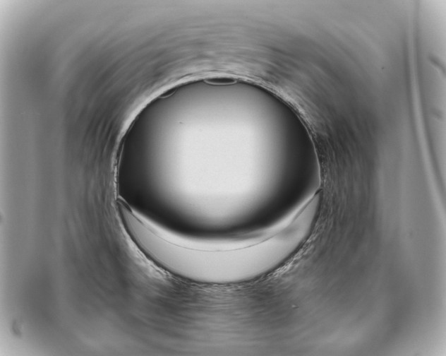 X0000096981524200802221422