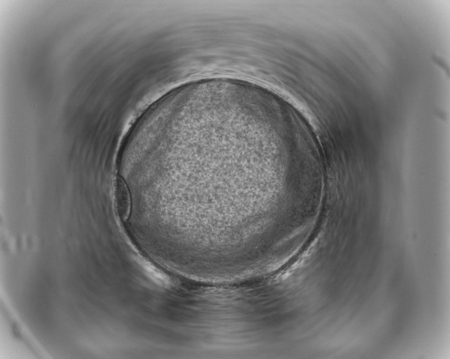 X0000096981525200802221422