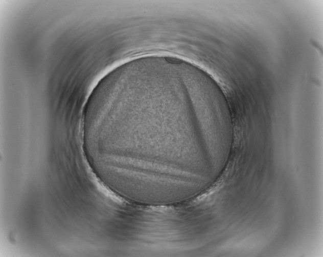 X0000096981526200802221422