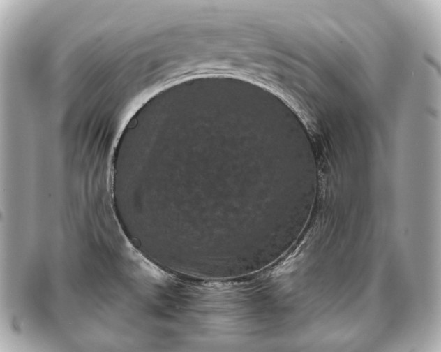 X0000096981527200802221422