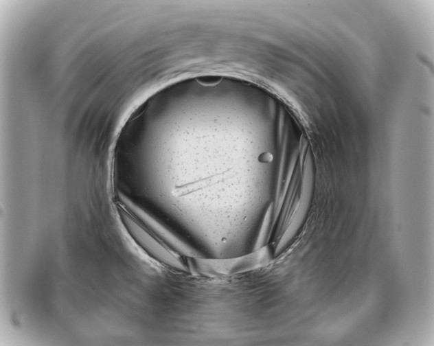 X0000096981528200802221422