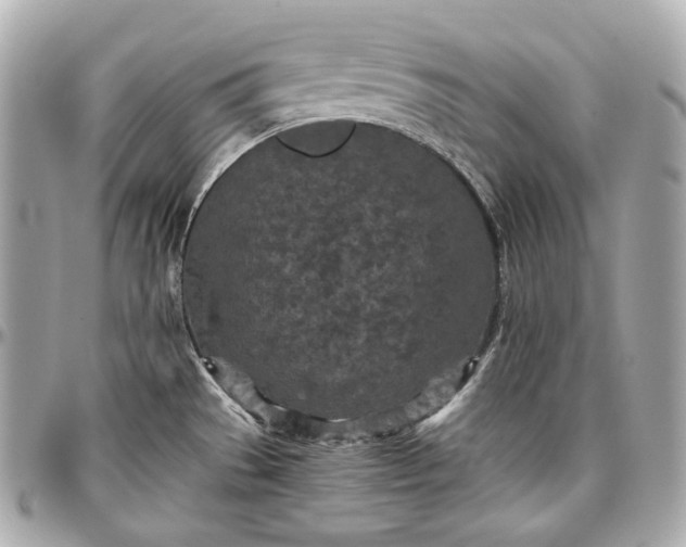 X0000096981529200802221422