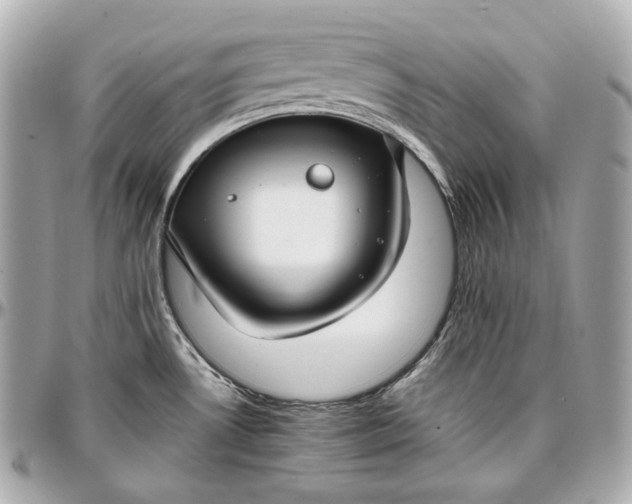 X0000096981530200802221422