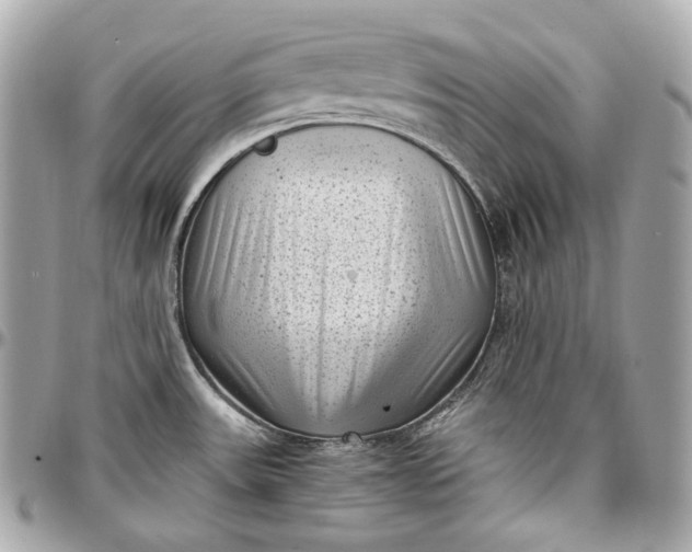 X0000096981531200802221422