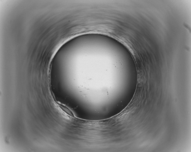 X0000096981532200802221422