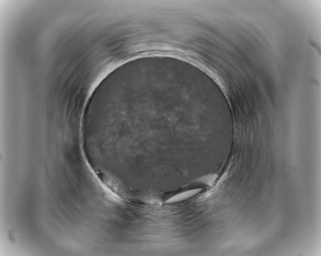 X0000096981533200802221422