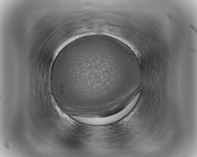 X0000096981534200802221422