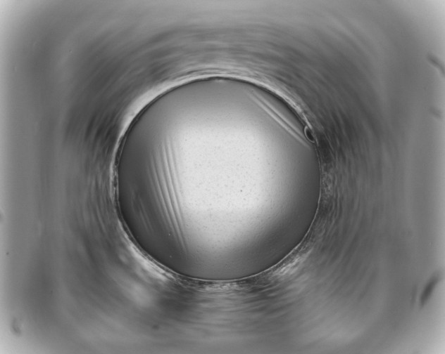 X0000096981535200802221422