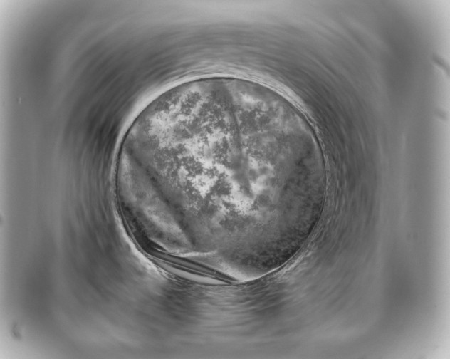 X0000096981536200802221422