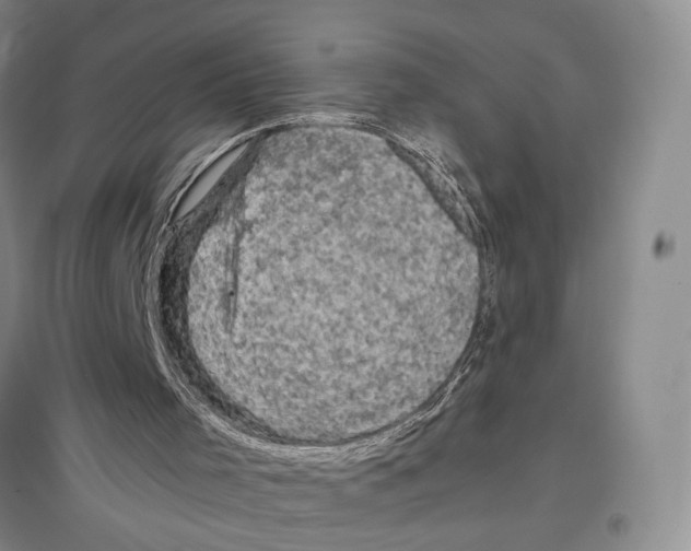 X0000096980001200802291156