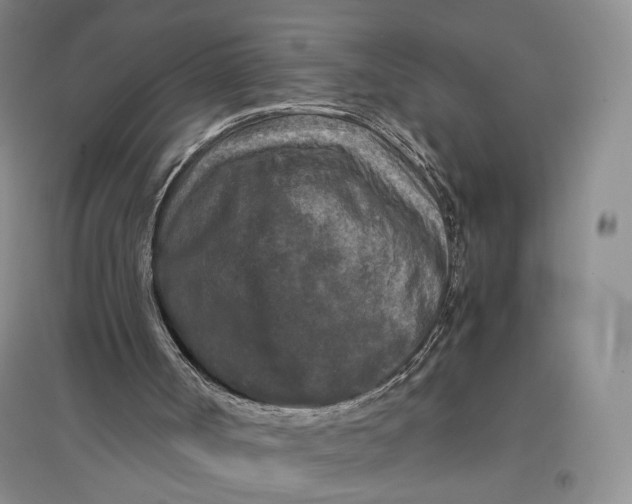 X0000096980002200802291156