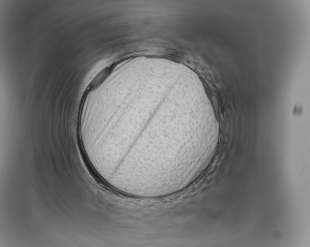 X0000096980003200802291156