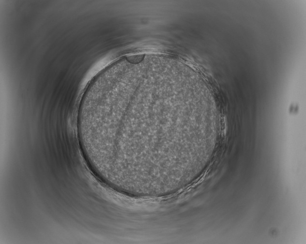 X0000096980004200802291156