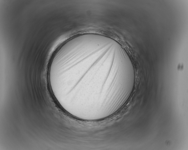 X0000096980006200802291156