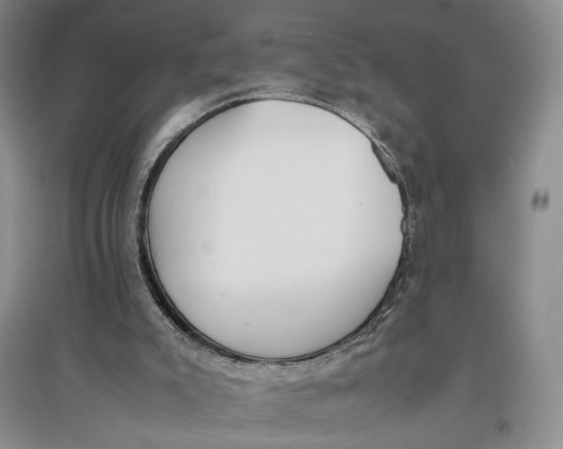 X0000096980007200802291156