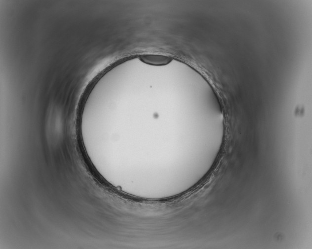 X0000096980008200802291156