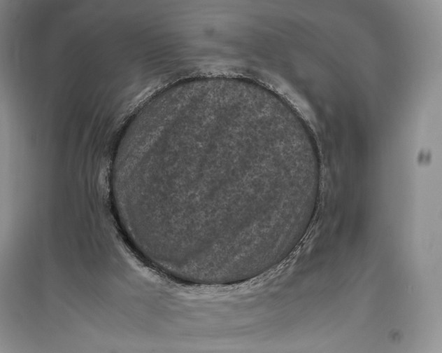 X0000096980009200802291156