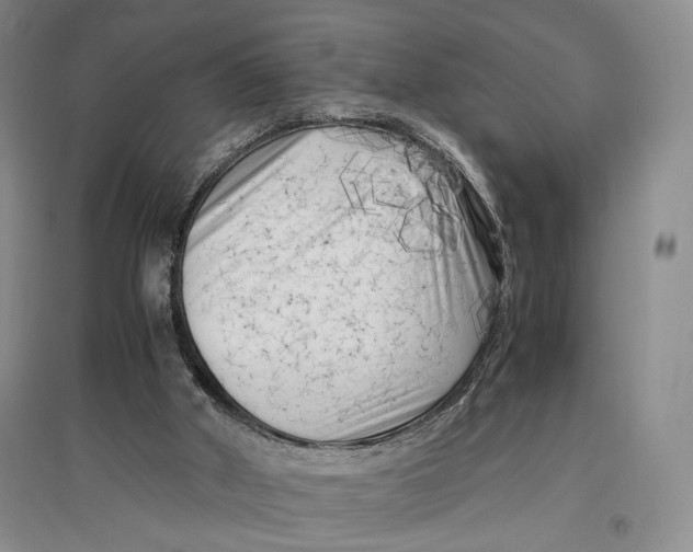 X0000096980010200802291156