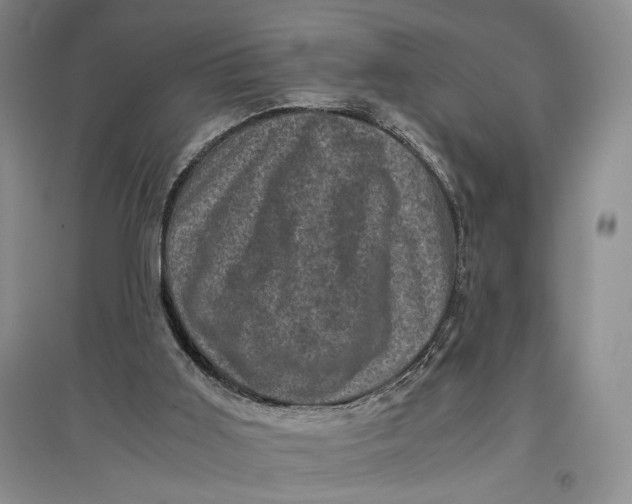 X0000096980011200802291156