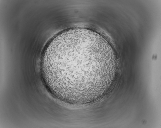 X0000096980012200802291156