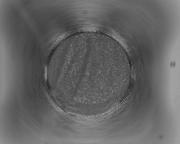 X0000096980013200802291156