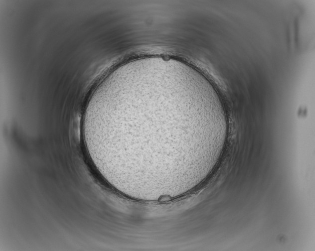 X0000096980014200802291156