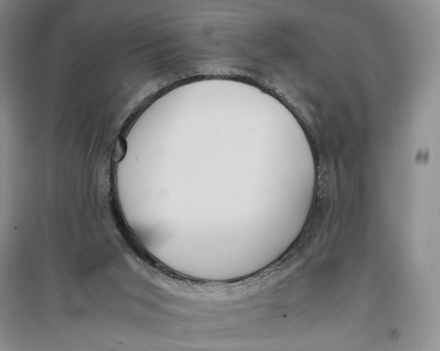 X0000096980015200802291156