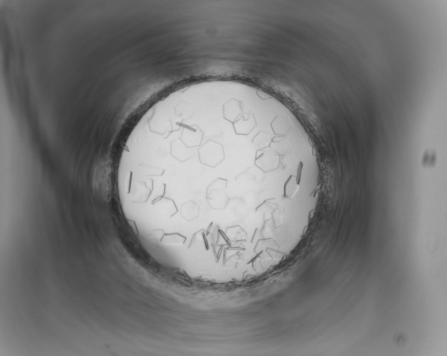 X0000096980016200802291156