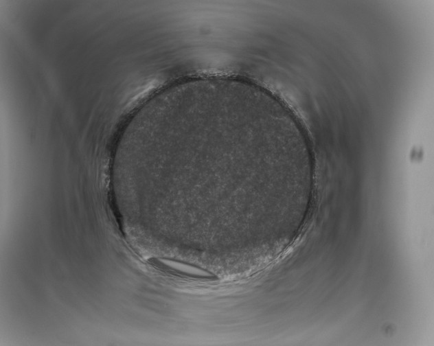 X0000096980017200802291156