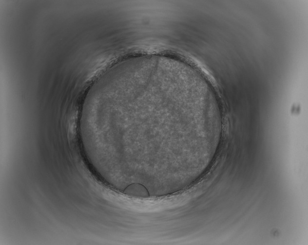 X0000096980018200802291156