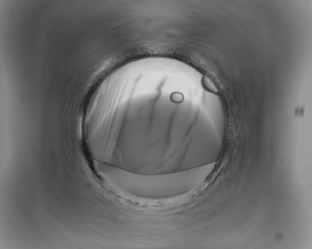 X0000096980019200802291156