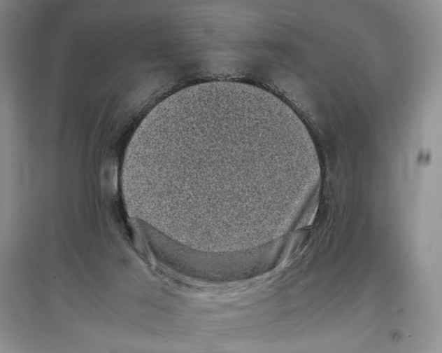 X0000096980021200802291156